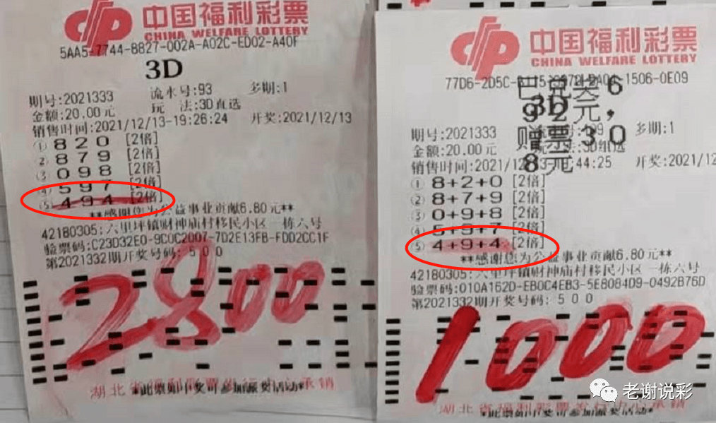 2025年新澳门天天开好彩,探索未来，澳门新气象与彩票梦想在2025年的绽放